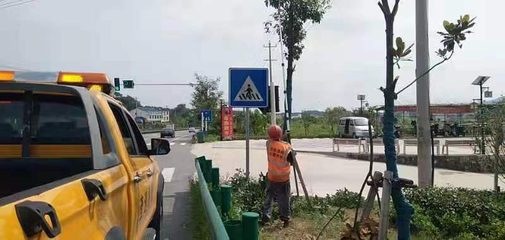 剪綠遮修護欄，筑牢公路交通安全生命線